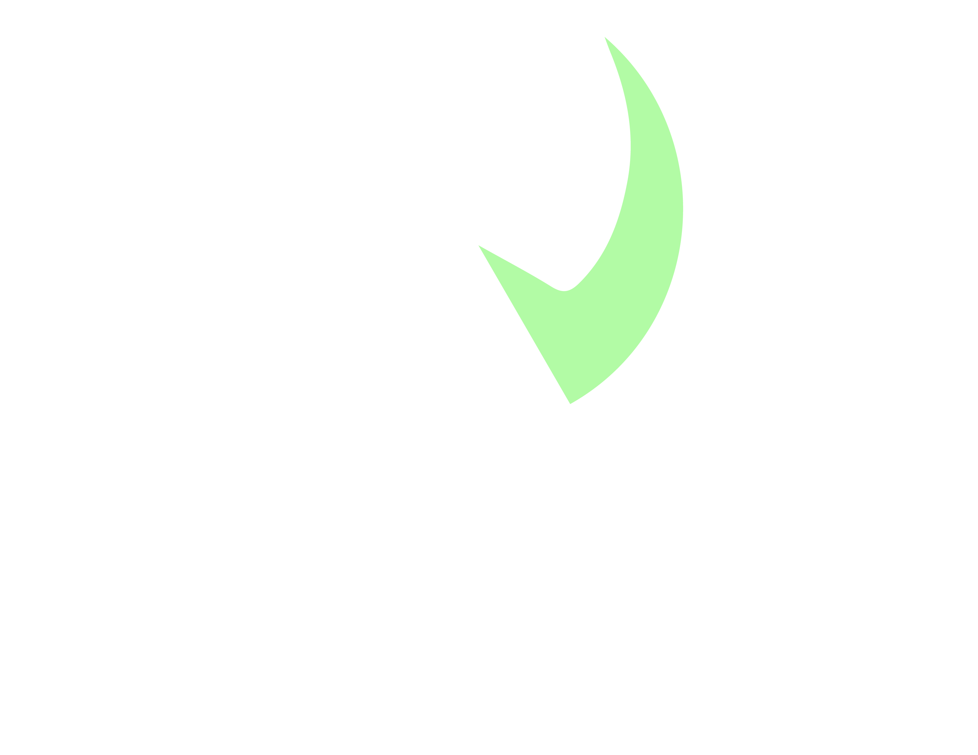 United Settlement Alliance